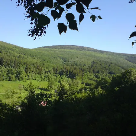 Apartman Lesniczowka W Dolinie